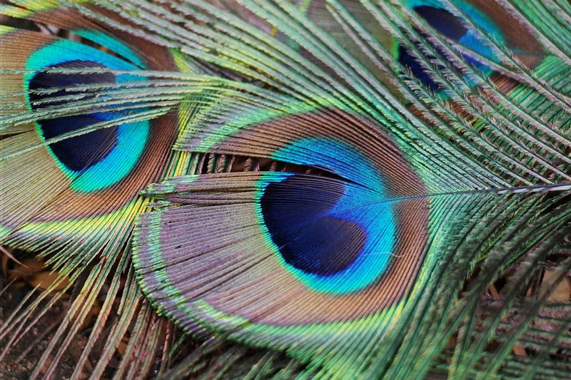 צילום: אוריין נעמן