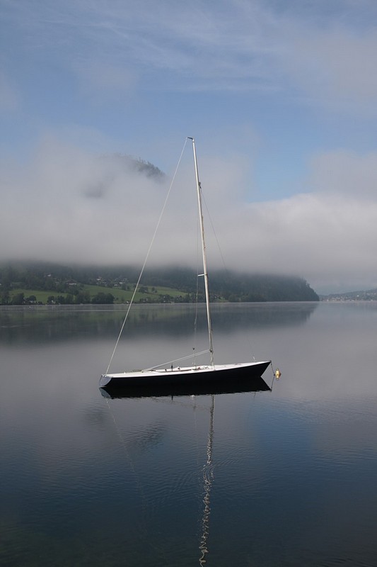 צילום: אלון קפל