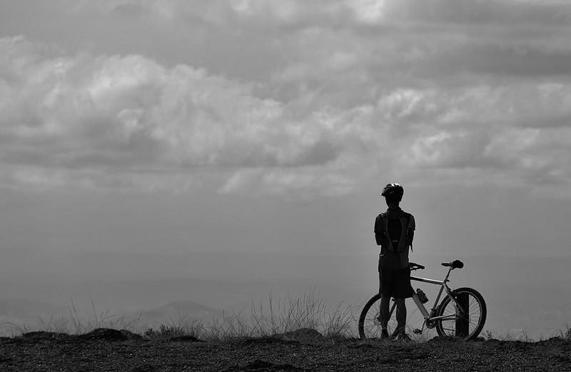 צילום: דויד  לב