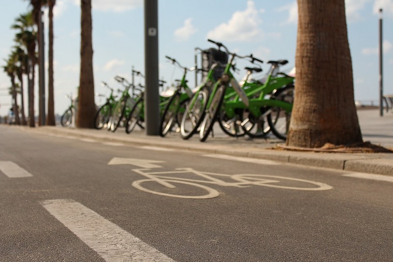 צילום: אבירן רותם