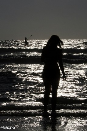 צילום: שי קלמן