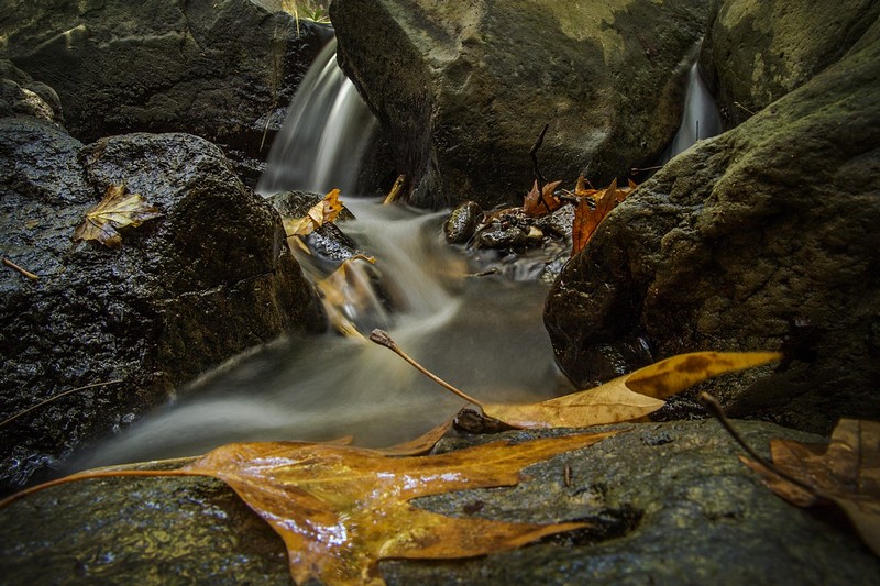 צילום: איתי סבי