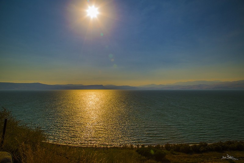 צילום: איתי סבי