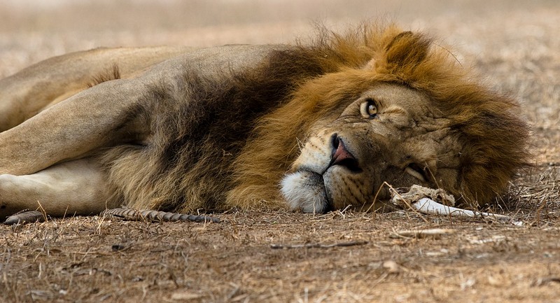 צילום: יובל כהן