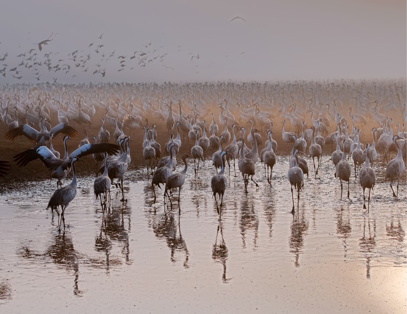 מי שמביט בי מאחור
