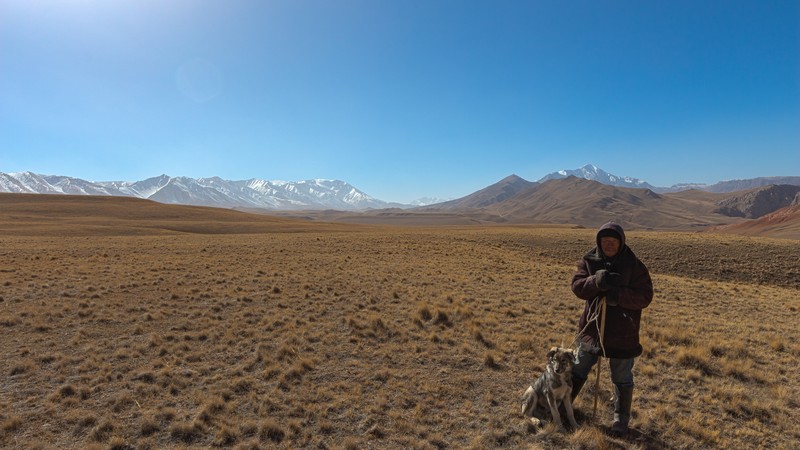 צילום: עמית כהן