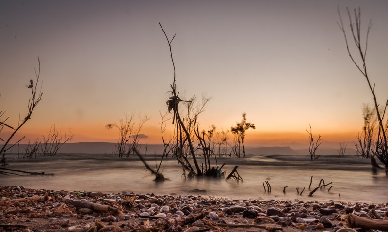 צילום: שי אידין