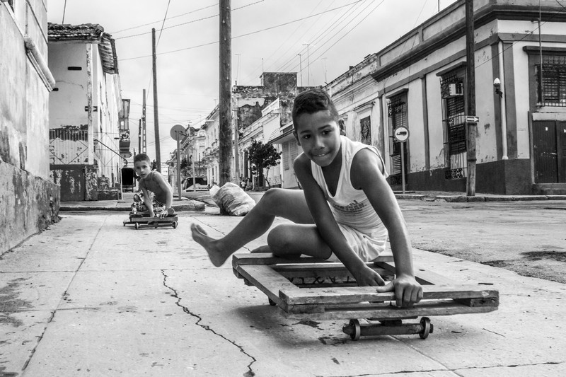 צילום: דן  ארז