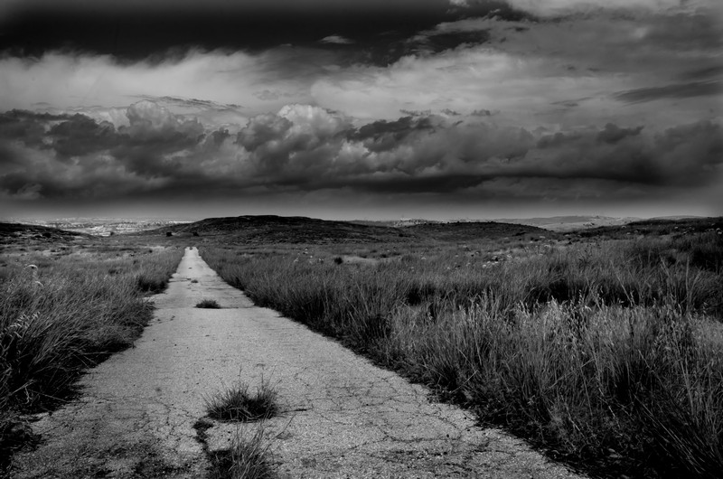 צילום: יובל כהן