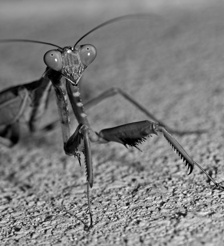 Are you looking at me?