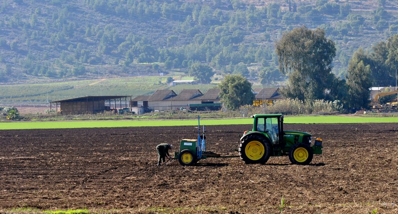 זריעה לפני הגשם
