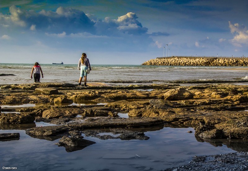 נחל פוגש ים