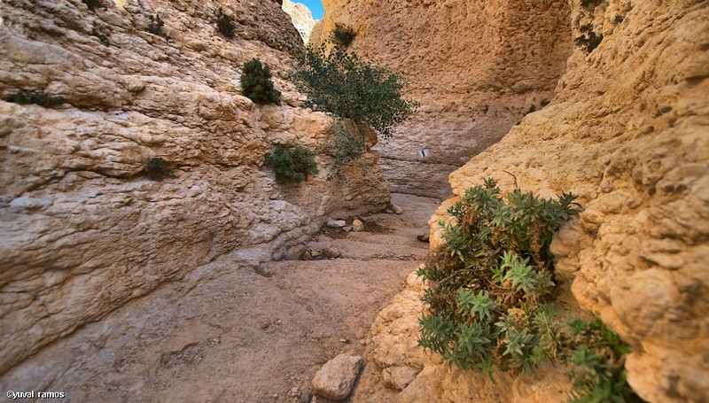 צילום: yuval  ramos