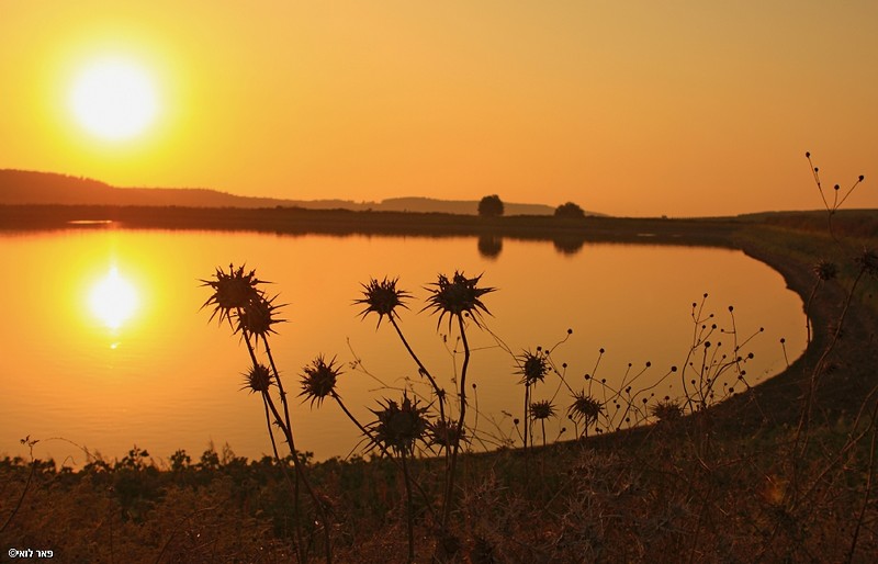 שקיעה וקוץ בה ....