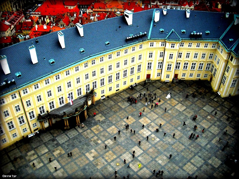 צילום: יובל אדרת