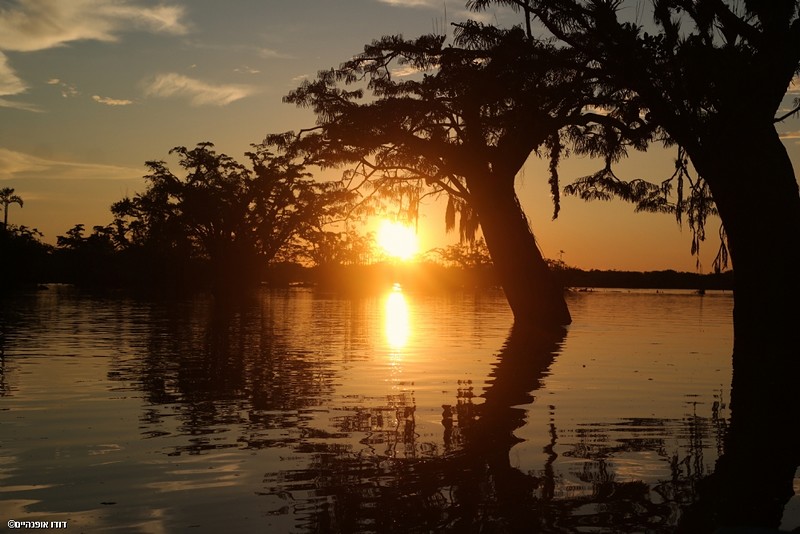 צילום: דודו אופנהיים