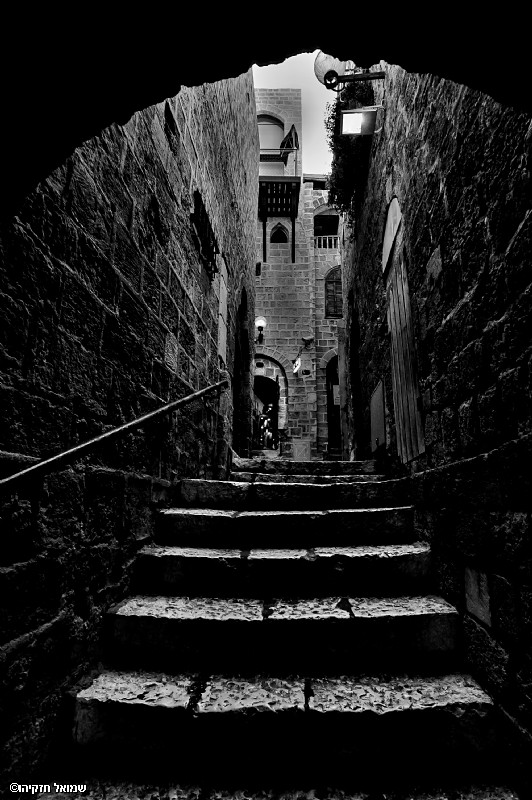 סימטה יפואית