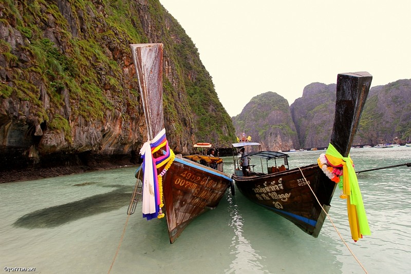 ארוכות הזנב