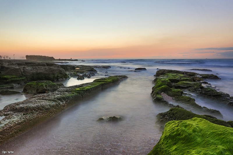 פלמחים אחרי הסופה