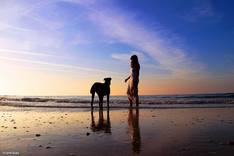 צילום: Yamit Hajbi