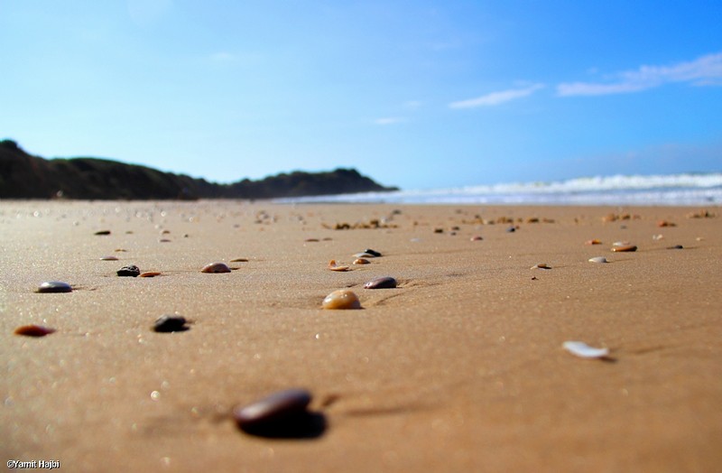 צילום: Yamit Hajbi