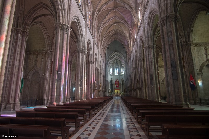 צילום: דודו אופנהיים