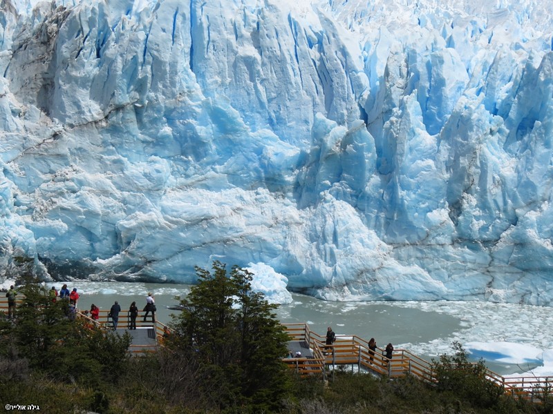 צילום: גילה אולייר