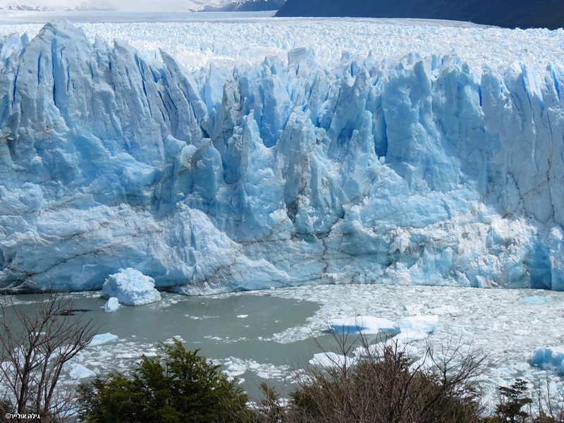 צילום: גילה אולייר