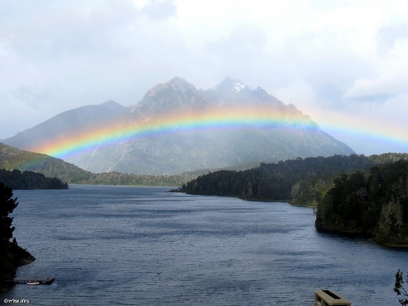 צילום: גילה אולייר