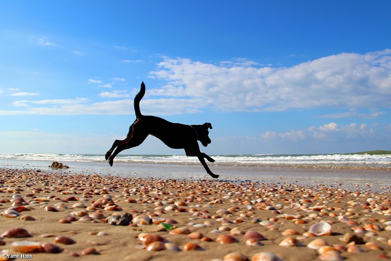 צילום: Yamit Hajbi