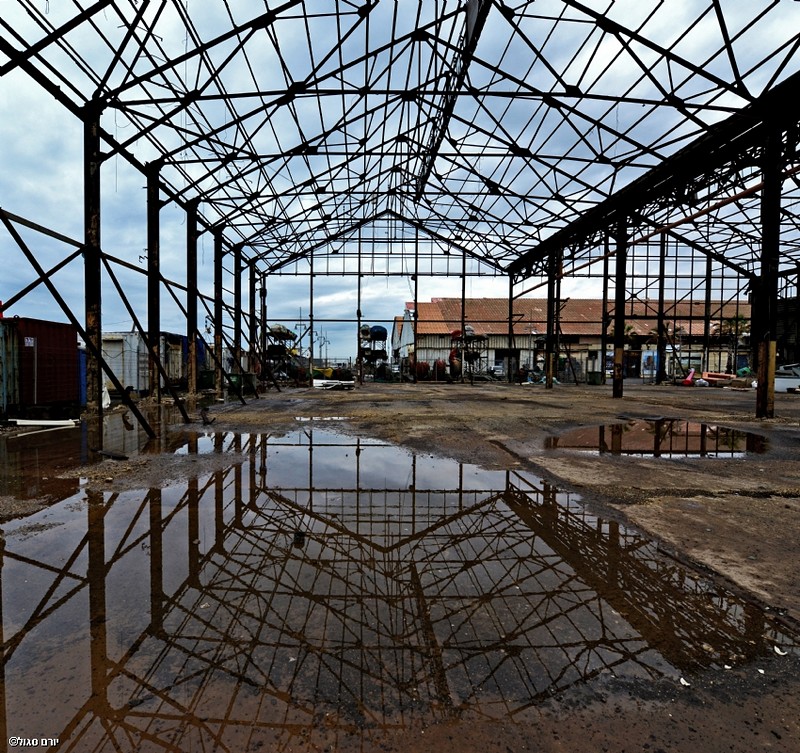 השלולית כמראה...