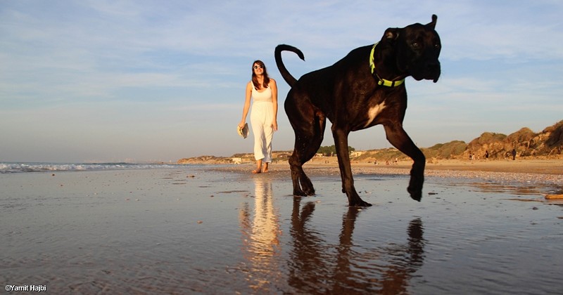 צילום: Yamit Hajbi