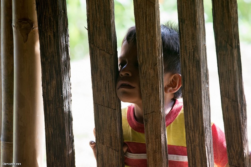 צילום: דודו אופנהיים