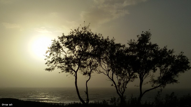 צילום: לוט  עדרי