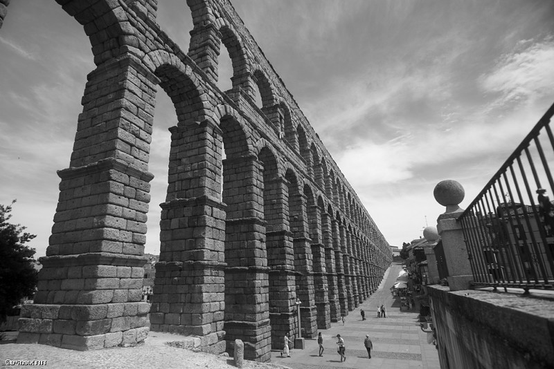 צילום: דודו אופנהיים