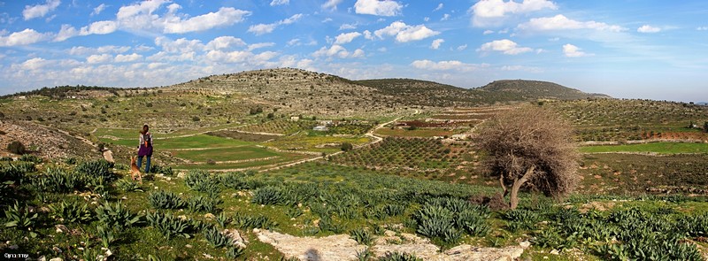 אי שם בגליל