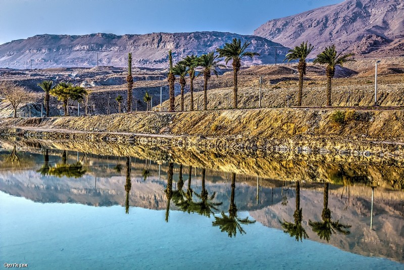 צילום: אורן ולדמן