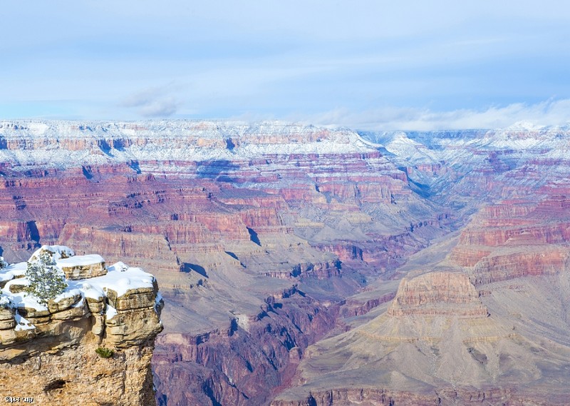 הגראנד קניון 