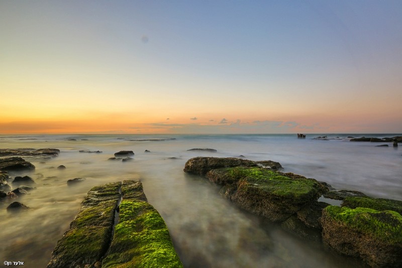 פלמחים ונהנים