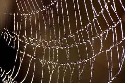 בבוקר לח בשנת תשס"ו