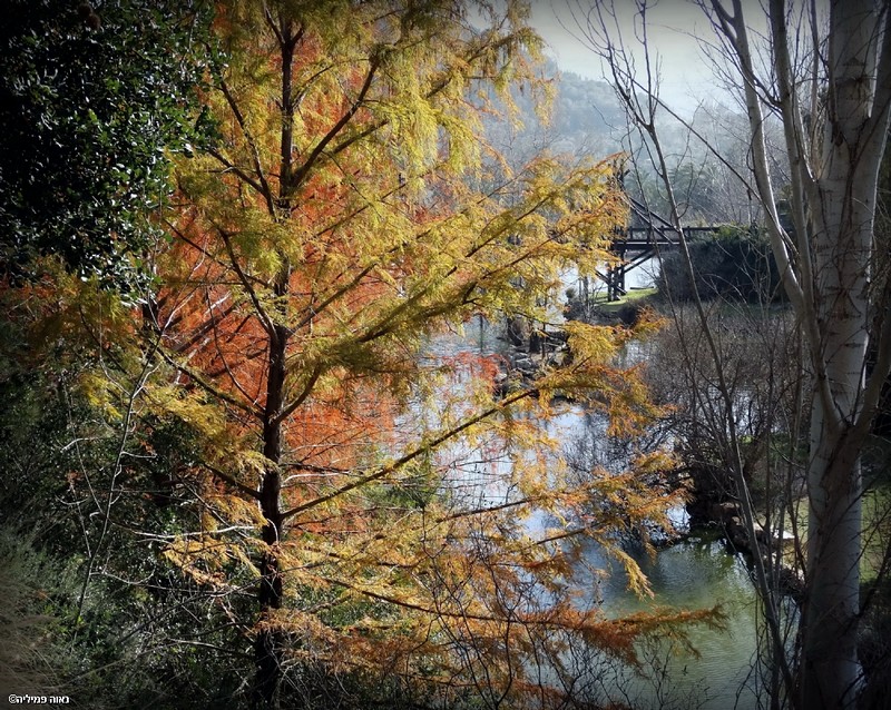 ~ כמה נעים פה ~ 