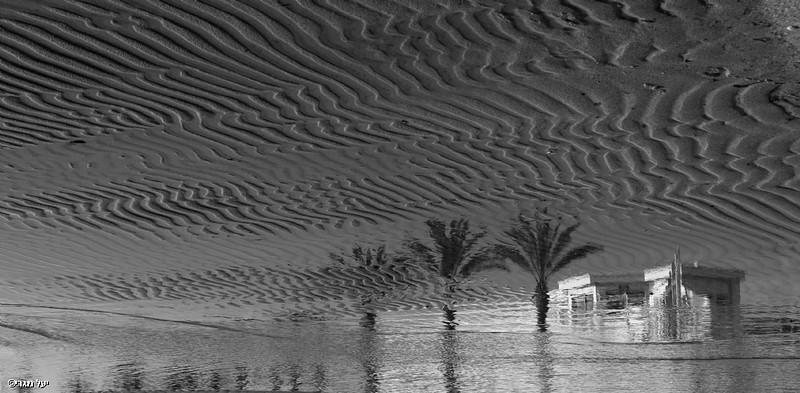 אחרי שהים נסוג 2