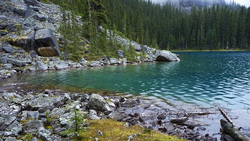 בין הרים ובין סלעים