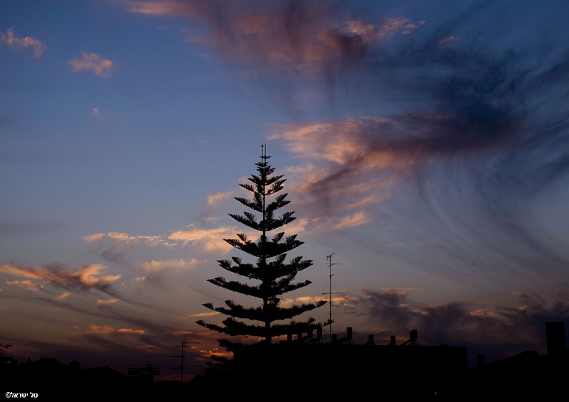 לצבוע את השמים במכחול2