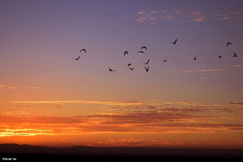 כשהשמש עולה...