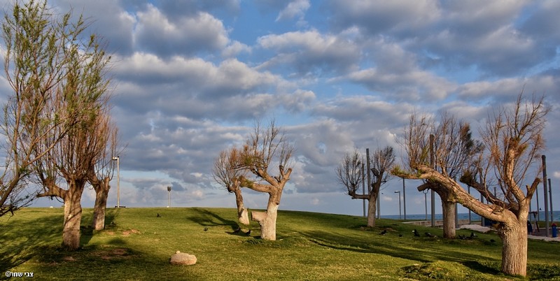 חשופים במדרון