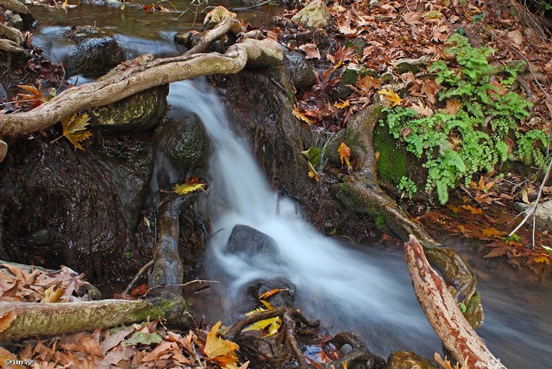 Flowing