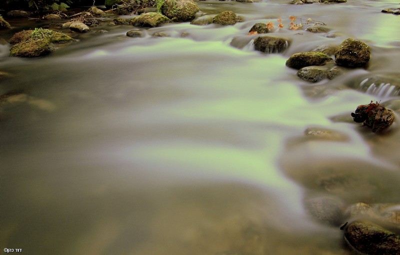 זרימה מתמשכת