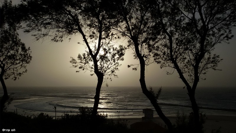 צילום: לוט  עדרי