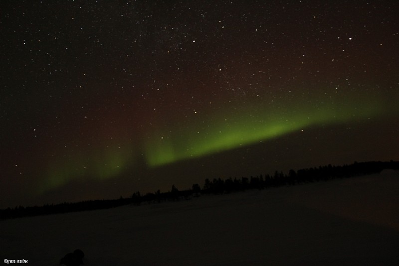 צילום: אלונה מורן